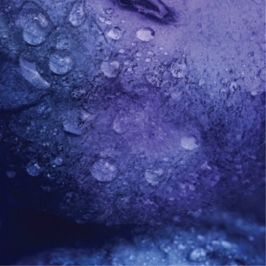  VEEV NOW Blueberry disposable vape flavour