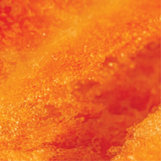  VEEV NOW Peach diposable vape flavour