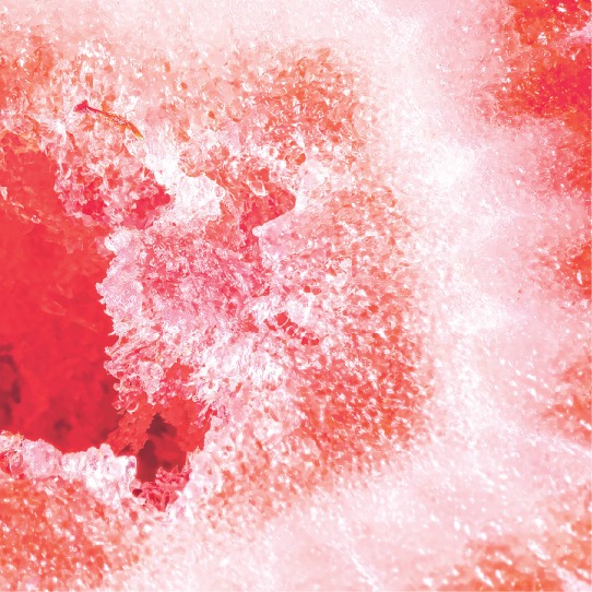  VEEV NOW Strawberry disposable vape flavour