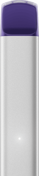 VEEV NOW Blueberry disposable vape flavour