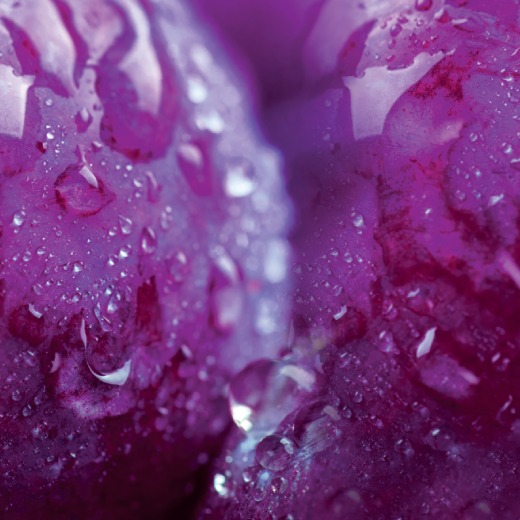 VEEV NOW Grape disposable vape flavour